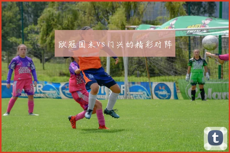欧冠国米vs门兴的精彩对阵
